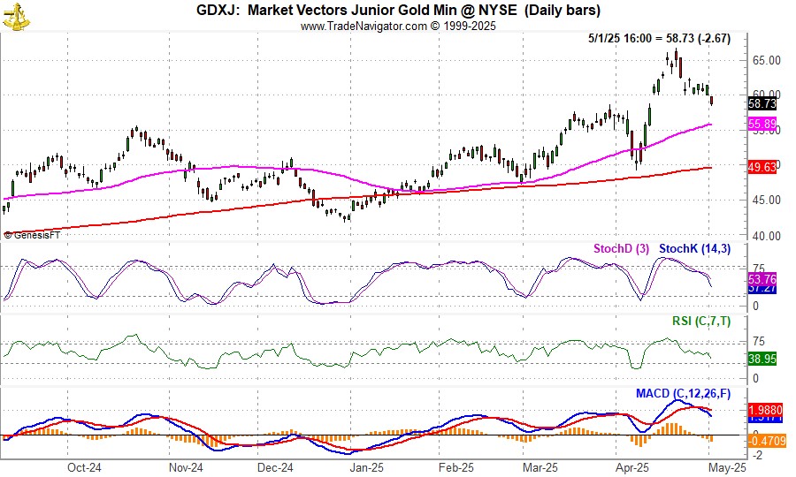 [VanEck Junior Gold Miners (GDXJ) Daily Bar Chart]