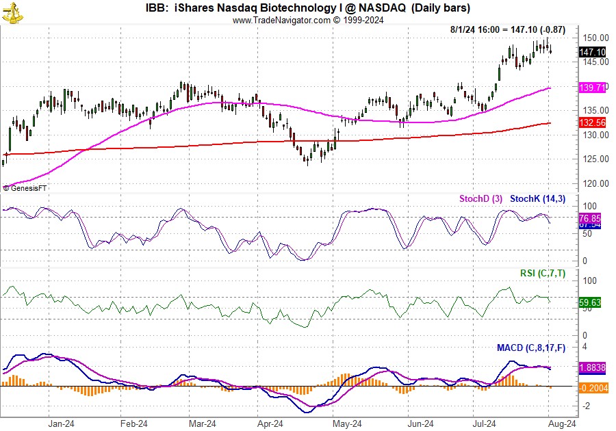 [iShares Biotech (IBB) Daily Bar Chart]