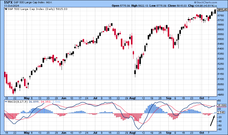 [S&P 500 & MACD Daily Bar Chart]